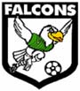 Enfieldcityfalcons.jpg