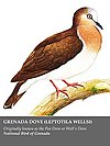 Grenada dove.jpg