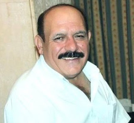 سعد الدين عطية.jpg