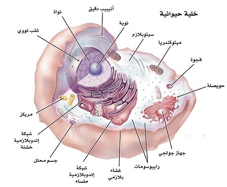 هو حركة المواد عبر الاغشية من دون ان تستخدم طاقة الخلية