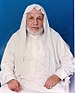 Sheikh Ali Al-Tantawi.jpg