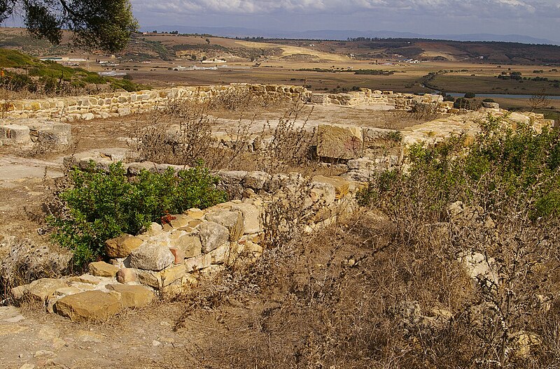 فيشي:Lixus - mosque.jpg