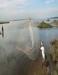 অসমৰ বৃত্তিয়াল সম্প্ৰদায়সমূহ