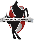 Roasso Kumamoto FK üçün miniatür