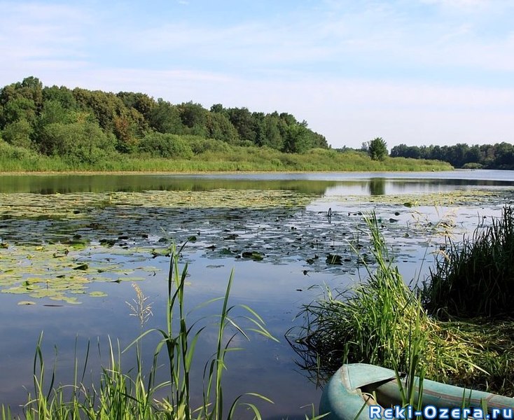 Fayl:Lake-onuchino.jpg