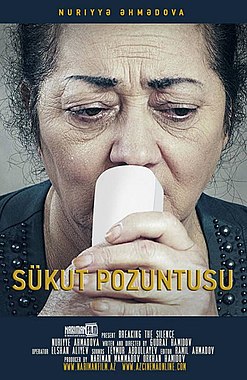 Sükut pozuntusu (film, 2014).jpg