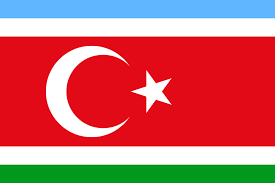 Flag of Turkic republic.png