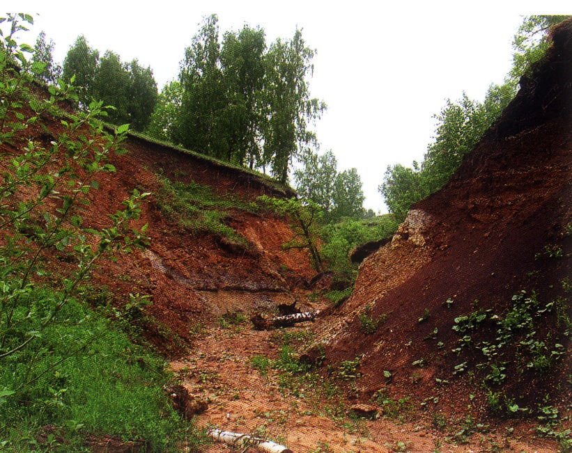 Ложбина. Овраг УШКАТЛЫ Аургазинского района. Низина оврага. Овраг Долина яма балка. Осипов овраг Татарстан.