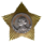 II дәрәжә Суворов ордены