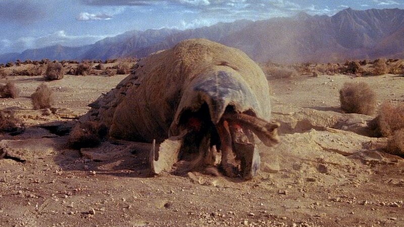 Abruozdielis:Big Fat Graboid.jpg