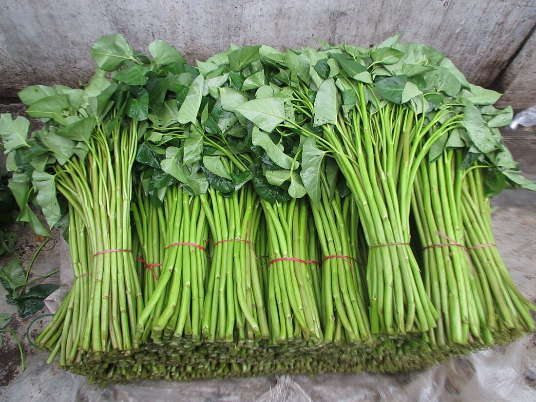 Kangkong