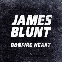 Вокладка сінгла «Bonfire Heart» (P175, 2013)