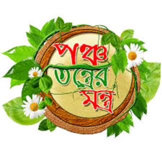 চিত্র:পঞ্চতন্ত্রের মন্ত্রের টাইটেল কার্ড.jpeg