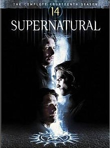 Supernaturalseason14.jpg