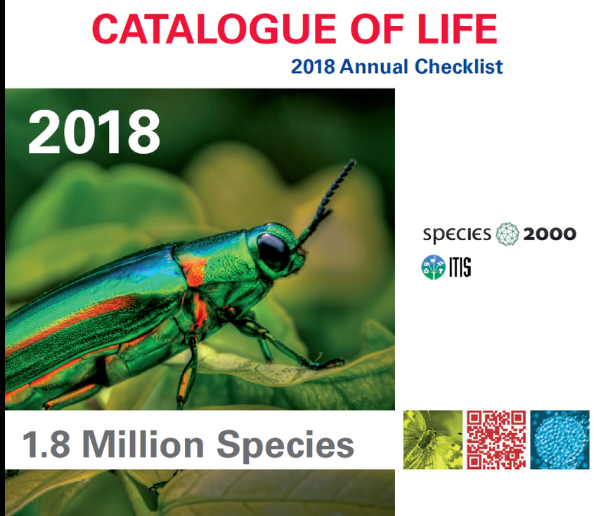 Каталог lives. Catalogue of Life. Heliothrix oregonensis.