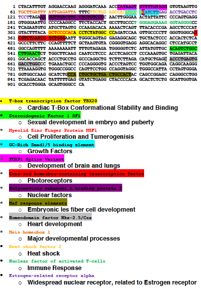 Datoteka:CCDC120 Promoter Transcription Factors.png