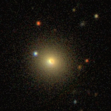 IC 1355