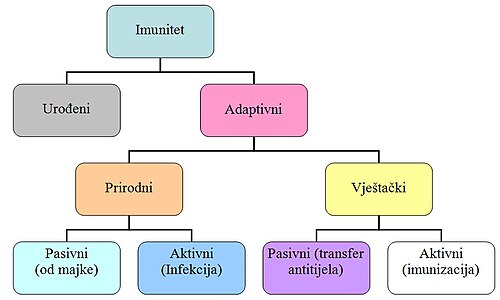 Vrste imuniteta