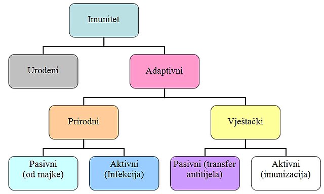 Kategorizacija imunosti