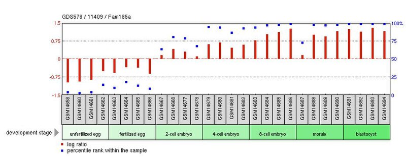 Datoteka:FAM185a expression in mouse embryonic tissues.jpg