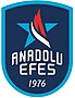 Logo Anadolu Efes SK.JPG