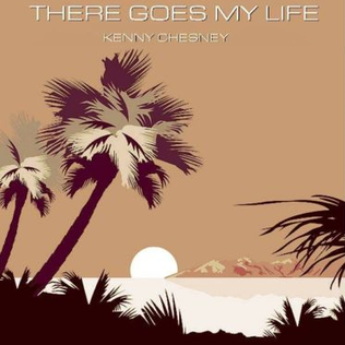 پەڕگە:Kenny Chesney - There Goes My Life.png