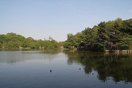 石神井公園の三宝寺池
