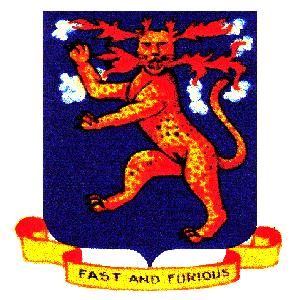 328th FIGHTER GROUP - WWII.jpg