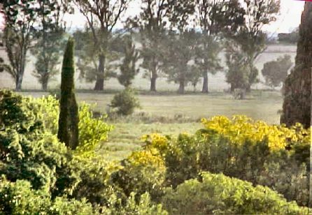 File:BOSQUES DE VIALE ZONA SUR - panoramio.jpg