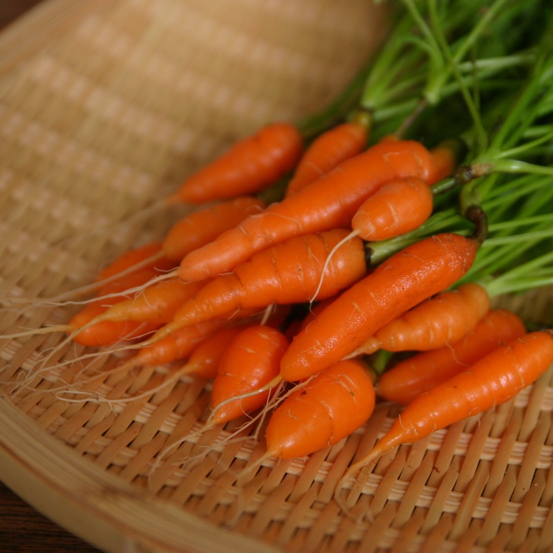 image of baby carrots