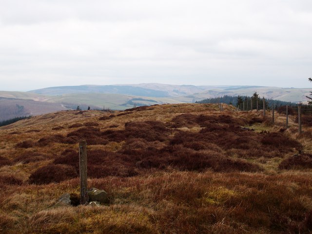 File:Camlo Hill - geograph.org.uk - 1241838.jpg