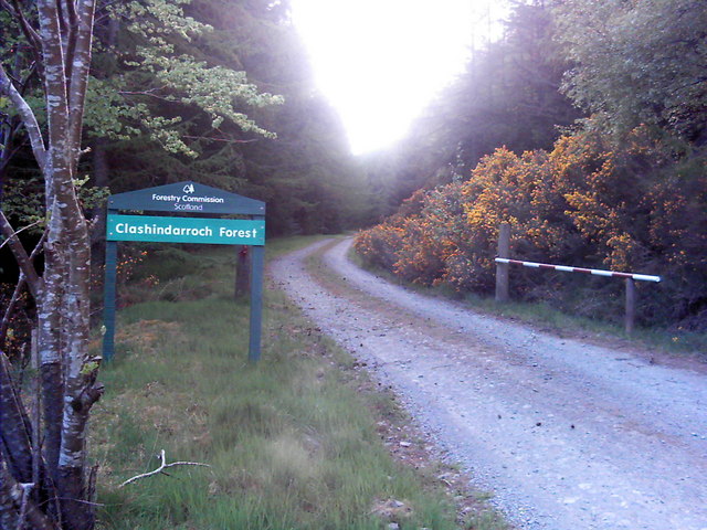 Clashindarroch Forest