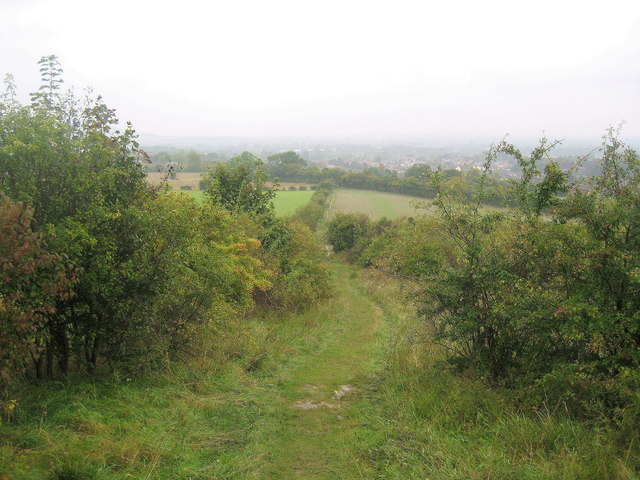 Brush Hill Local Nature Reserve