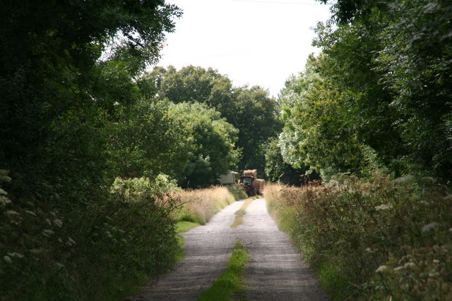 File:Distant harvester in Sleights Lane, off New Carr Lane, Eastrington - geograph.org.uk - 5037376.jpg