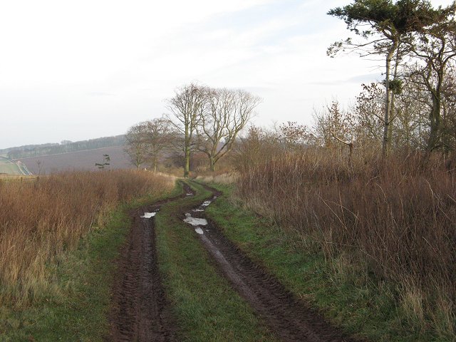 File:Farm track - geograph.org.uk - 304070.jpg