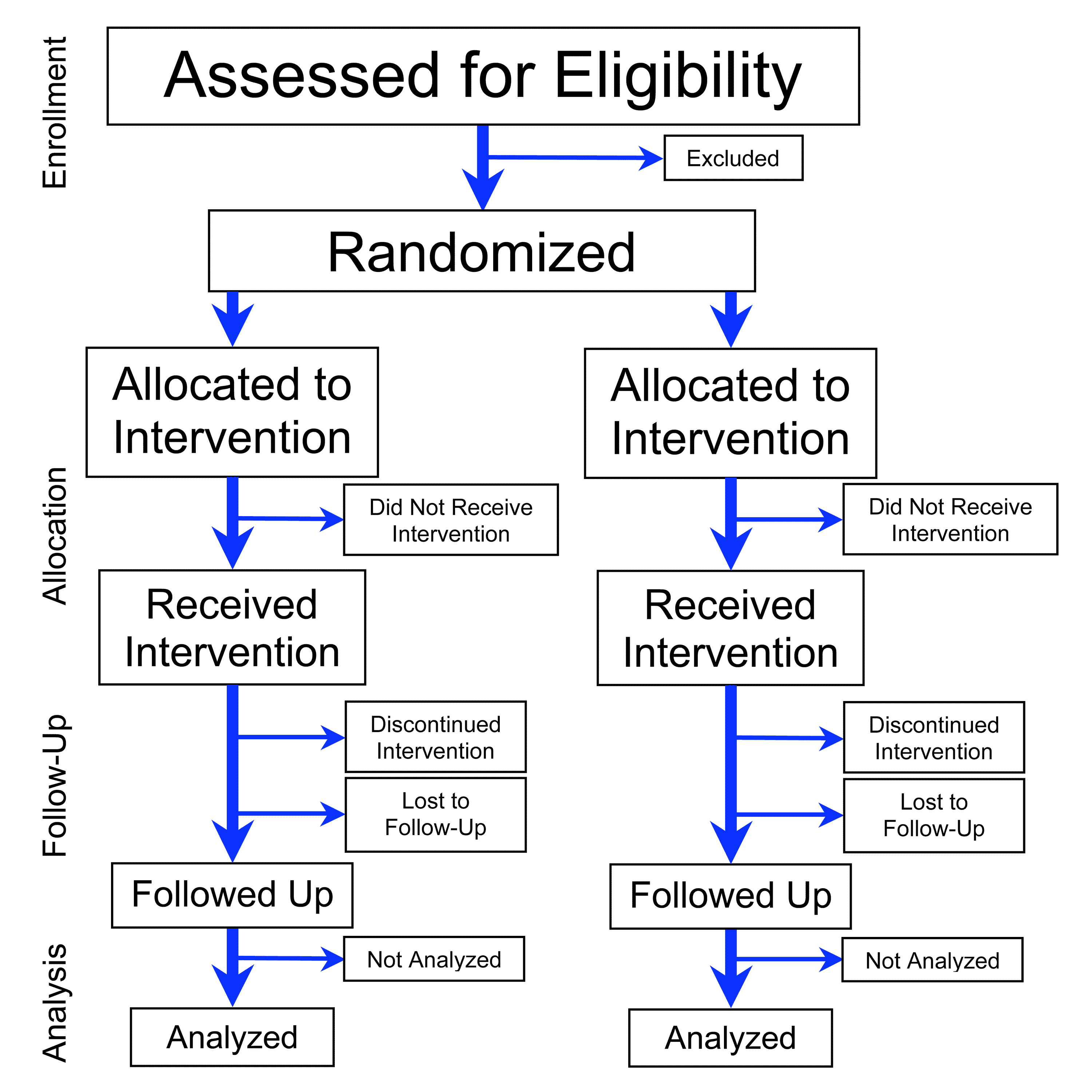 Clinical Trials Phases Flow Chart