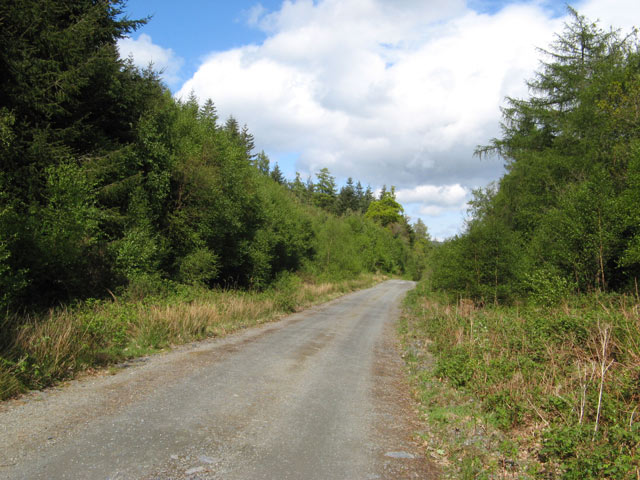 File:Footpath along forestry road - geograph.org.uk - 1294002.jpg