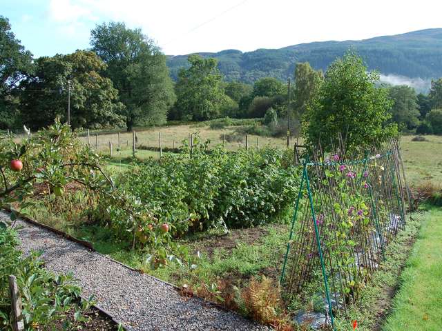 File:Garden in Glassburn - geograph.org.uk - 247782.jpg