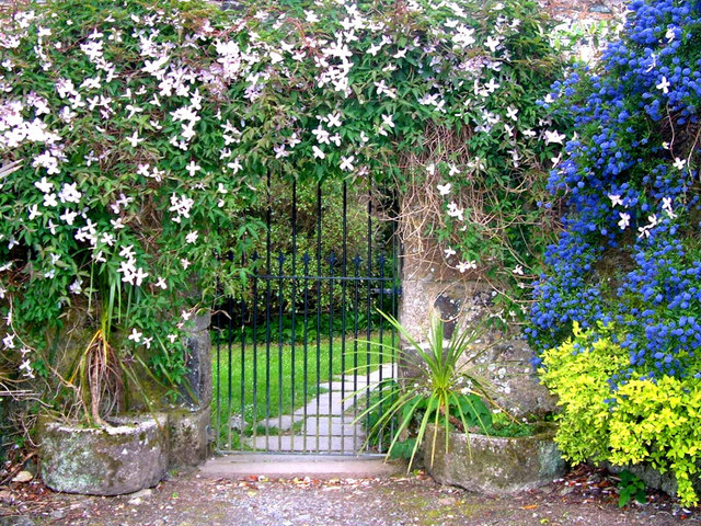 File:Gate and flowers, Trelowarren House - geograph.org.uk - 492794.jpg