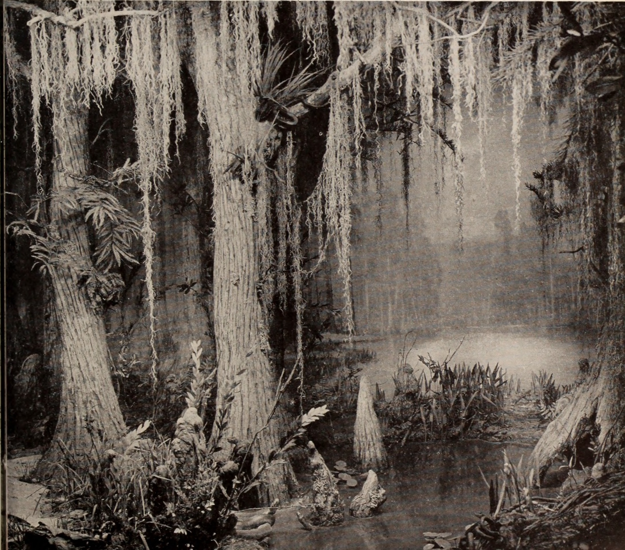Image result for swamp monster