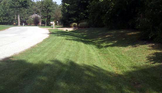 Grass_lined_channel_NRCS