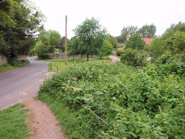 Green at Cleeve - geograph.org.uk - 2419963