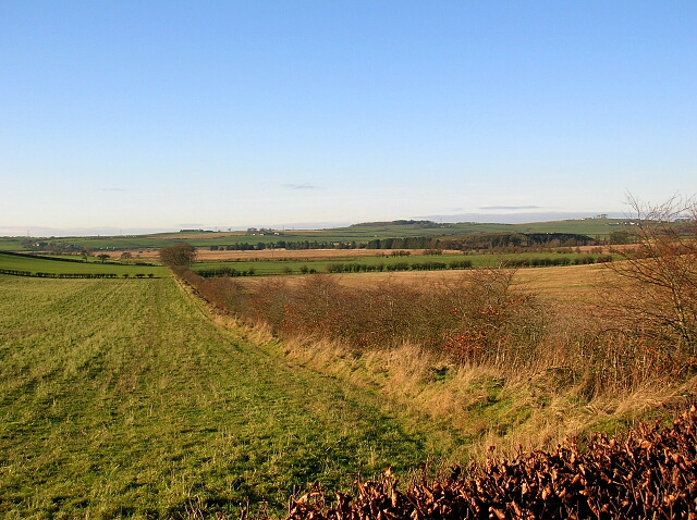 File:Hedge Near Barmoorhill Farm - geograph.org.uk - 295371.jpg