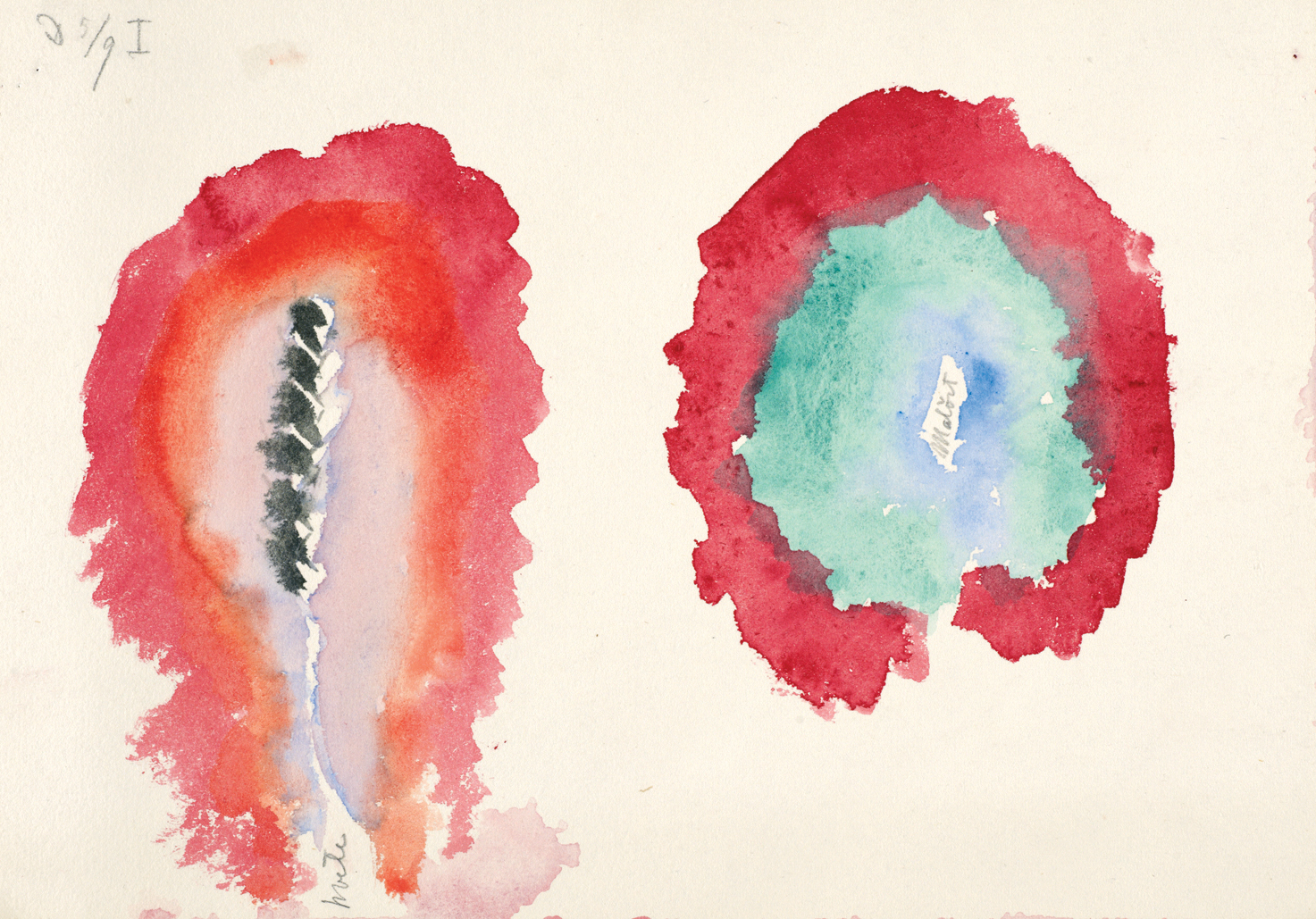 Two splotches of red watercolor with other colors inside