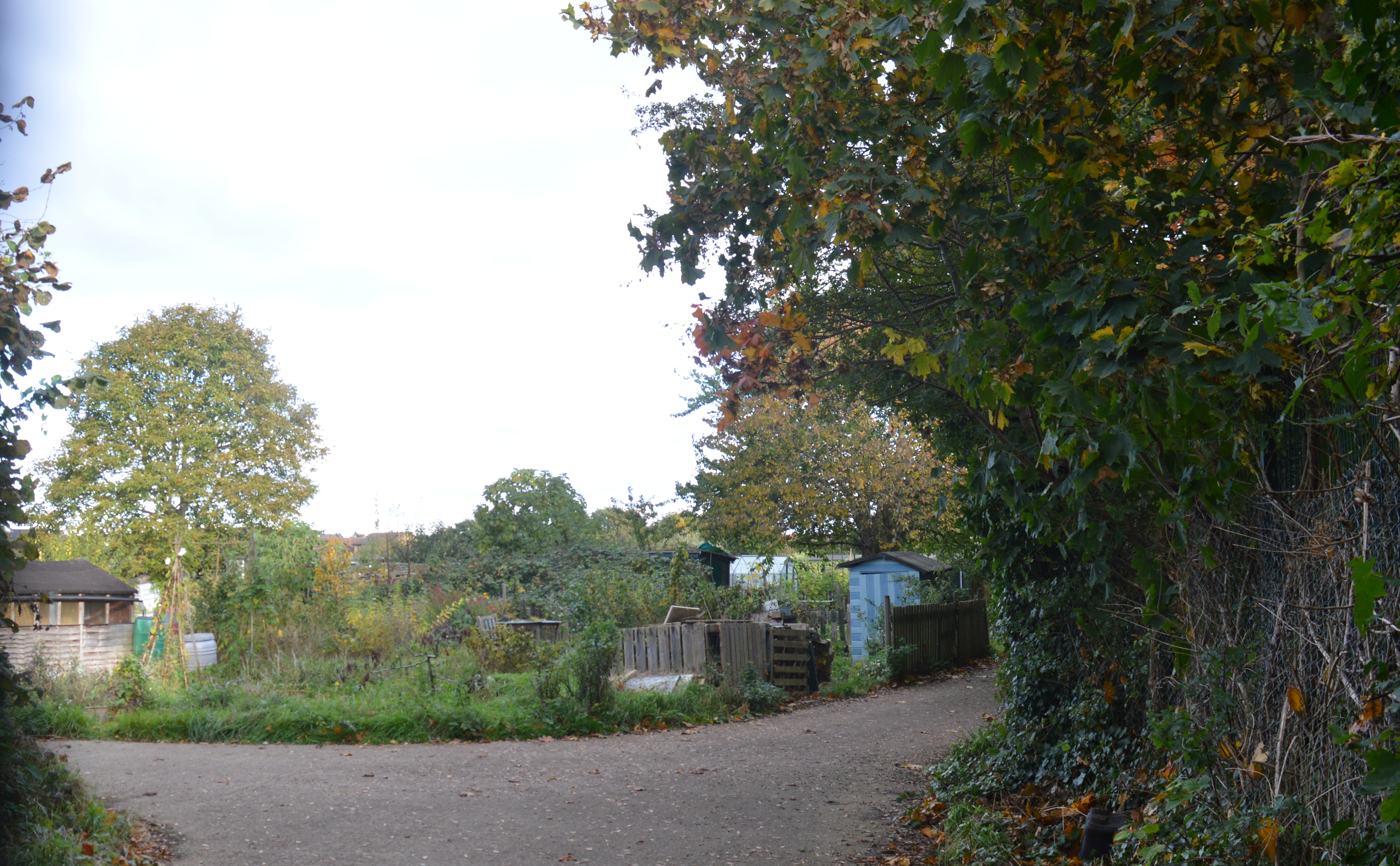 Histon Road SSSI