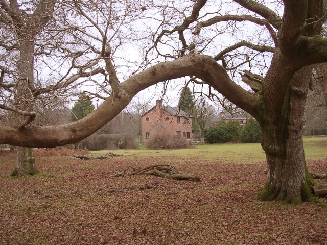 File:Houses at Nicholas Corner, New Forest - geograph.org.uk - 102399.jpg