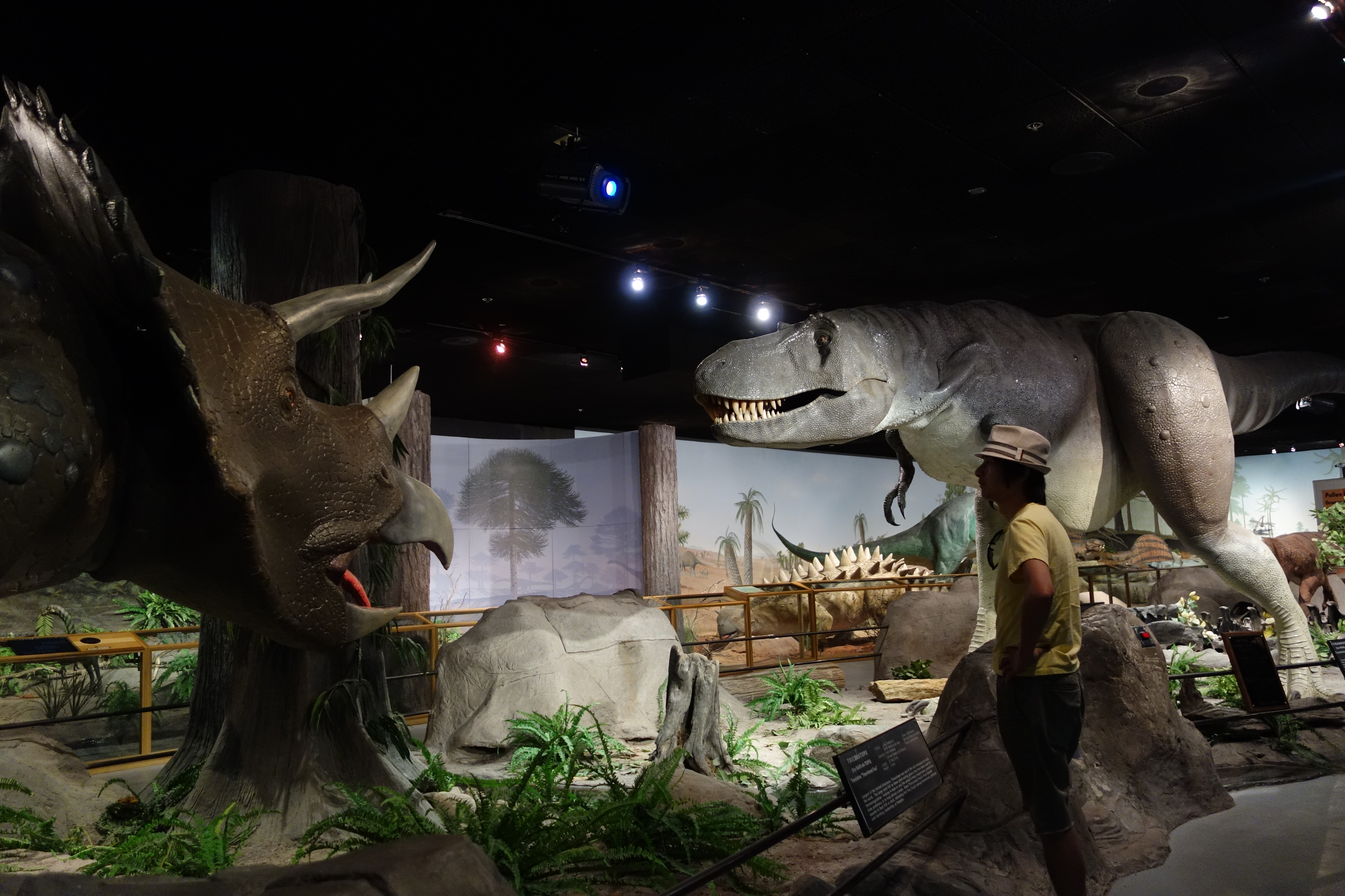 Las Vegas Natural History Museum - Wikipedia