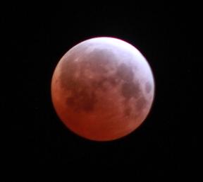 Lunar Eclipse April 2015.JPG