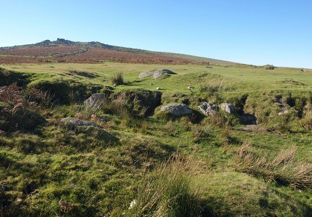 Moorland below Gutter Tor - geograph.org.uk - 2111966