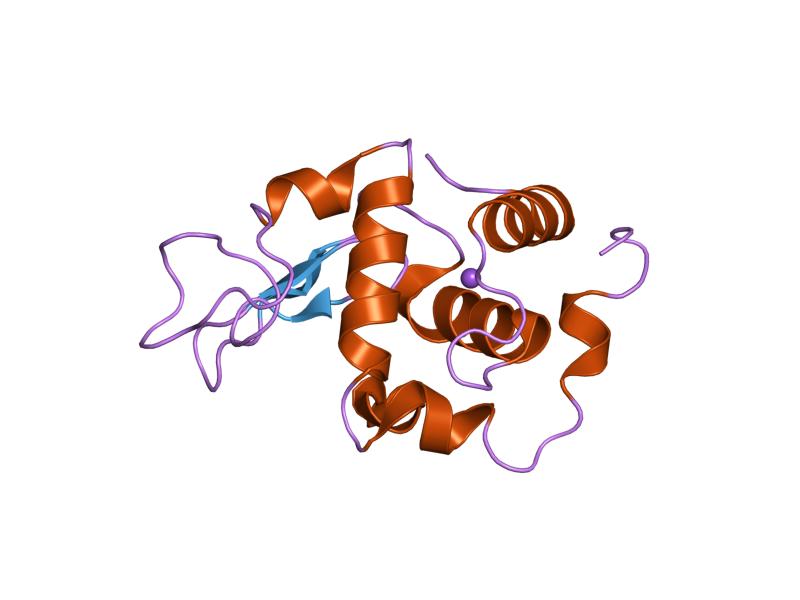 File:PDB 1ge4 EBI.jpg